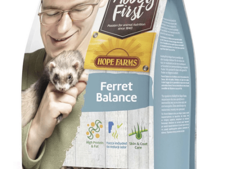 HobbyFirst Hope Farms Ferret Balance Cheap