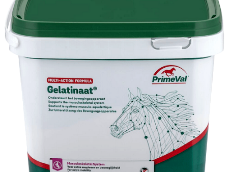 Primeval Gelatinaat Paard (Multi-Action Formula) Discount