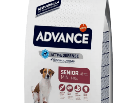 Advance Mini Senior (3 kg) For Discount