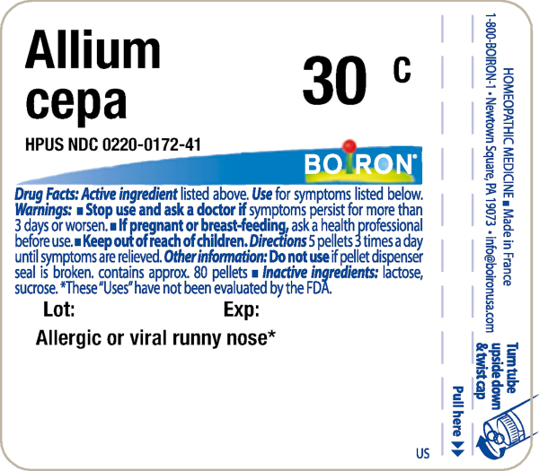 Allium cepa 30C 80 plts For Cheap