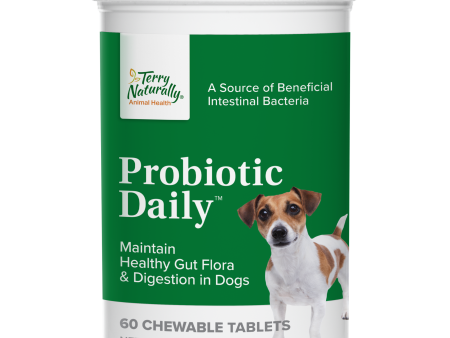 Probiotic Daily 60 chew tabs Hot on Sale