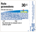 Ruta graveolens 30C 80 plts For Sale