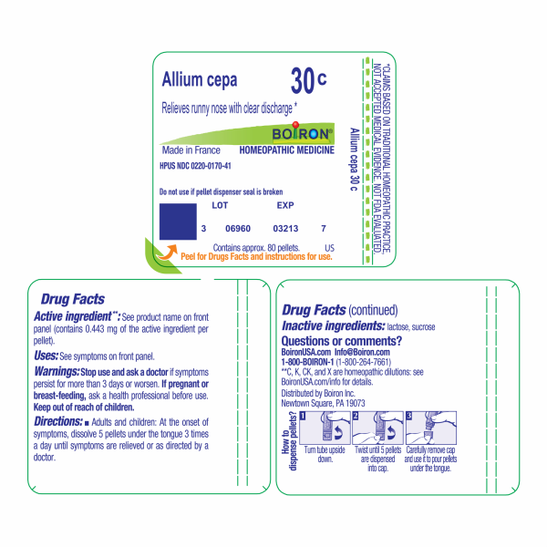 Allium cepa 30C 80 plts For Cheap