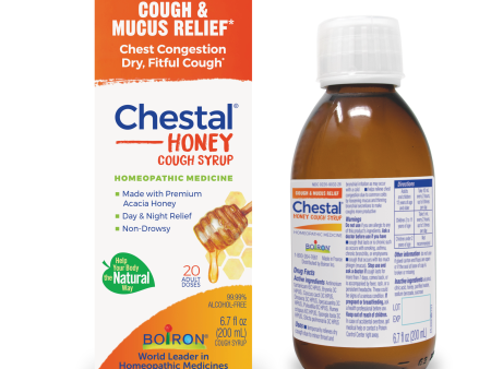 Chestal Adult Cough Honey Hot on Sale