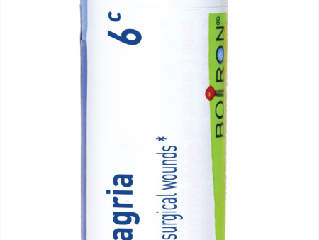 Staphysagria 6C 80 plts Supply