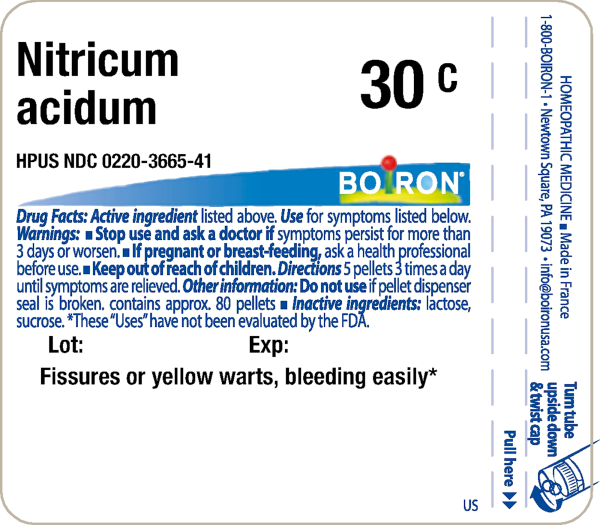 Nitricum Acidum 30c 80 plts Online Sale