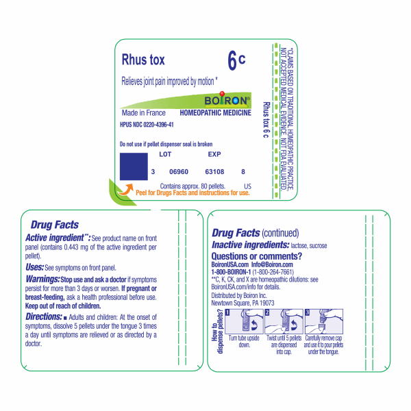 Rhus toxicodendron 6C 80 plts Online Hot Sale