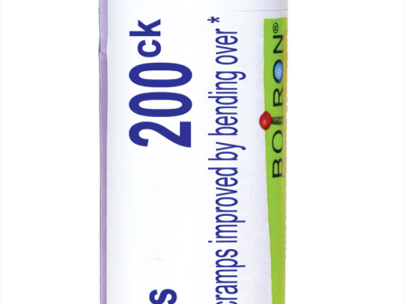 Colocynthis 200CK 80 plts Supply