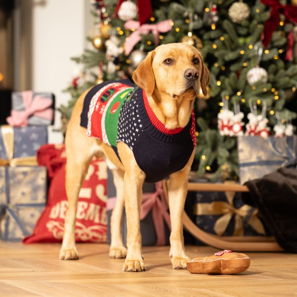 Rosewood Gingerbread Jumper Xmas Eve Gift Pack Online now