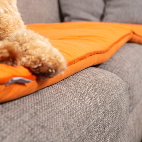 Sofa Topper in Pumpkin Velvet by Lords & Labradors Online Sale