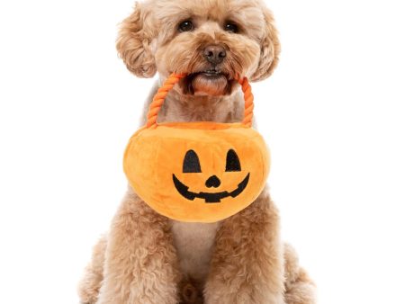 FuzzYard Trick or Treat Pumpkin Basket Dog Toy Supply