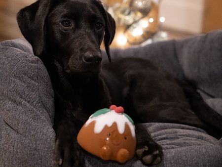 Chrissie Christmas Pudding Dog Toy Sale