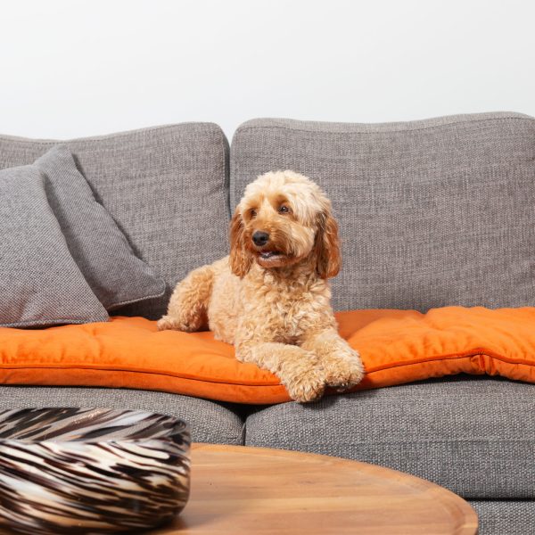 Sofa Topper in Pumpkin Velvet by Lords & Labradors Online Sale