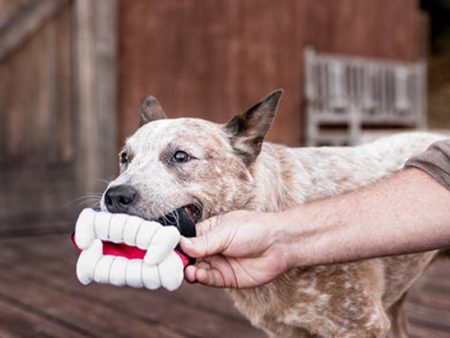 P.L.A.Y. Howling Haunts Barky s Bite Online