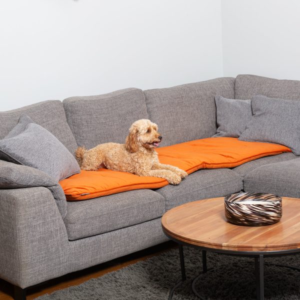 Sofa Topper in Pumpkin Velvet by Lords & Labradors Online Sale