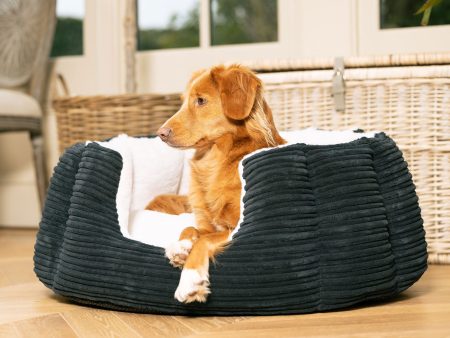 High Wall Bed With Removable Covers in Essentials Navy Plush by Lords & Labradors Supply