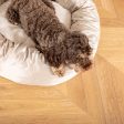 Donut Bed in Mushroom Velvet by Lords & Labradors Online Hot Sale