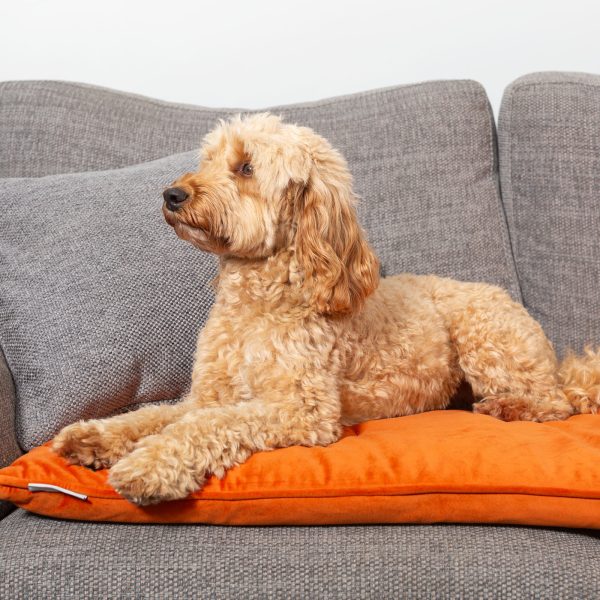 Sofa Topper in Pumpkin Velvet by Lords & Labradors Online Sale