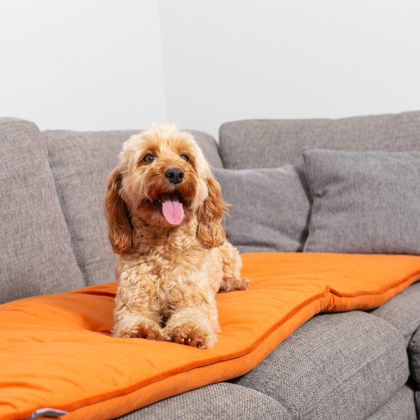 Sofa Topper in Pumpkin Velvet by Lords & Labradors Online Sale