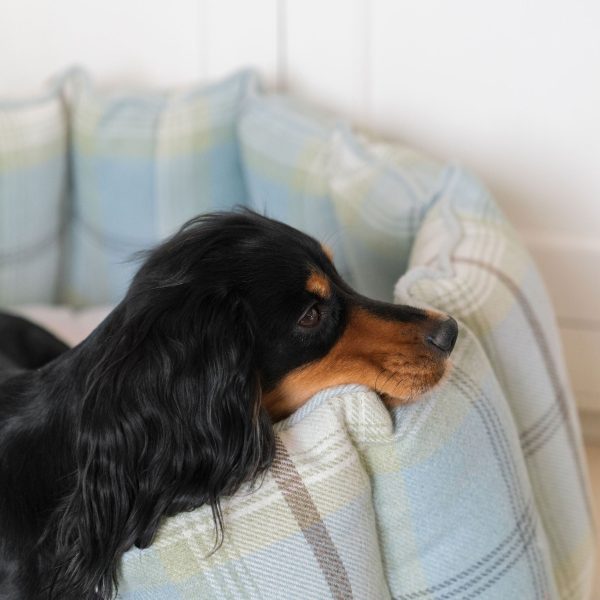 High Wall Bed With Removable Covers in Balmoral Duck Egg Tweed by Lords & Labradors Fashion