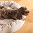 Donut Bed in Mushroom Velvet by Lords & Labradors Online Hot Sale