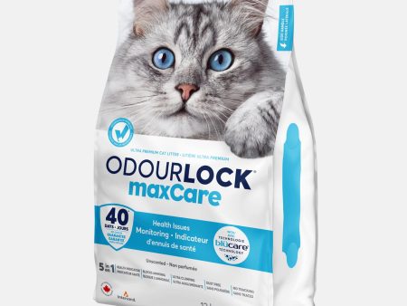 Intersand Odourlock MaxCare Cat Litter 12kg on Sale